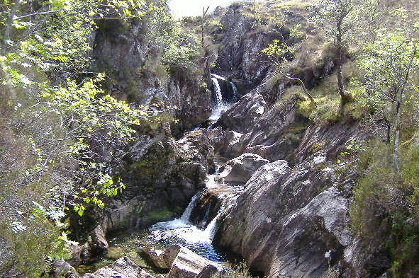 photograph looking up river