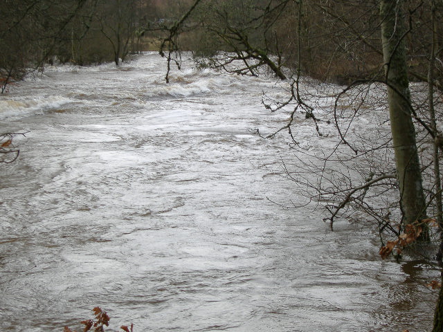 photograph of the top end of the Linn bypass