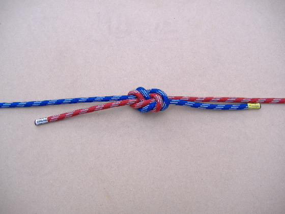 photograph of an in-line figure-of-eight knot