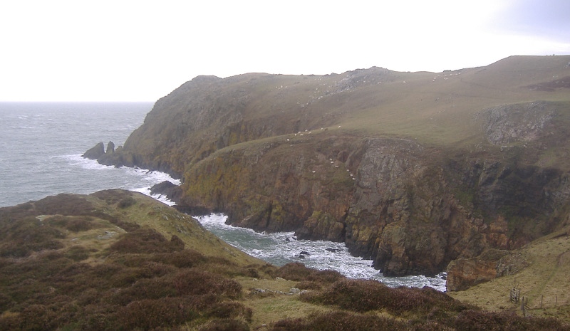  looking across to Carmel Head 