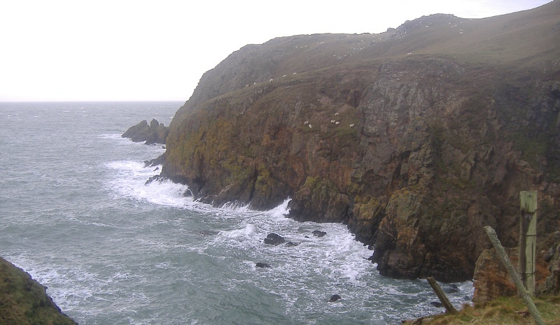  sheep right on the cliff face 