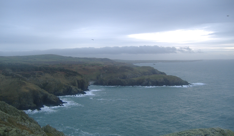  looking down the coast to Ynys y Fydlyn and Church Bay 