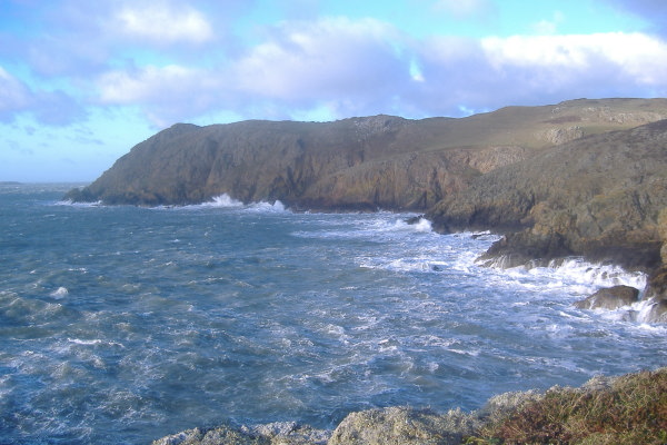 photograph of the coastline up toward Carmel Head, from up on the first lump of Ynys y Fydlyn 