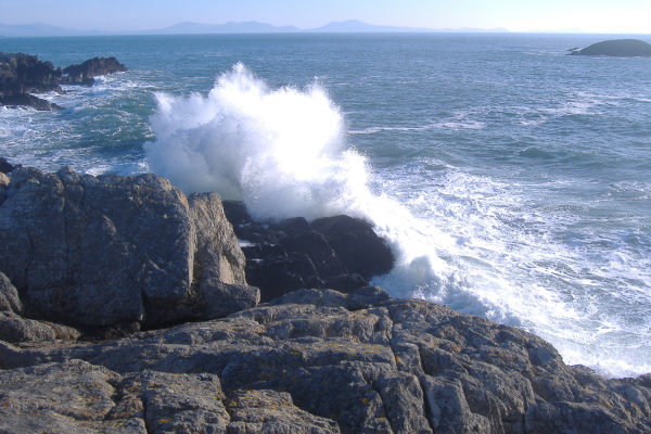 photograph of a breaking wave 