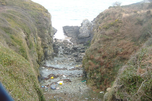 photograph of the mucky beach 