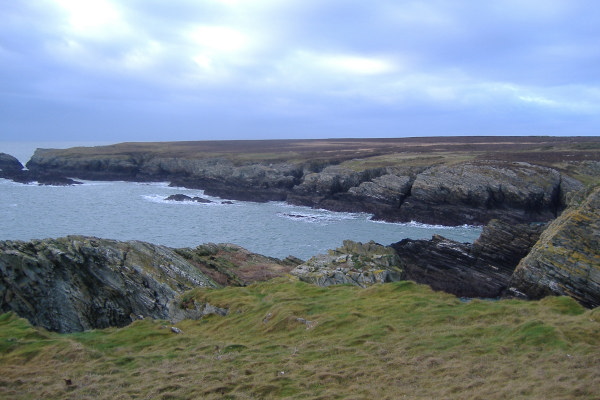 photograph looking up the coast towards Penrhyn Mawr 