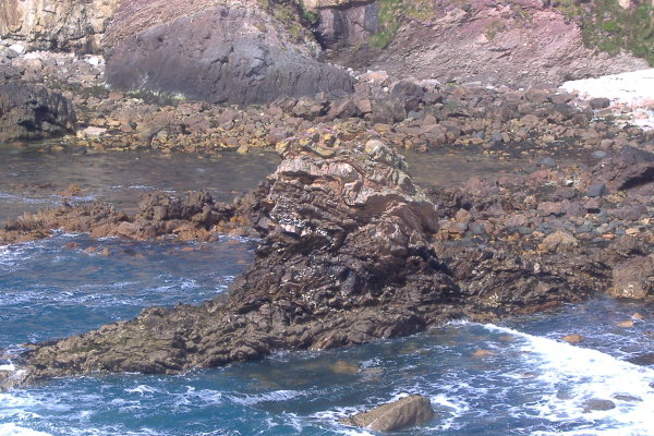 photograph of a strange shaped rock 