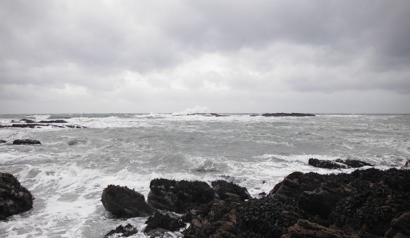  the waves crashing onto the Harry Furlough rocks 