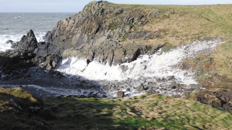 a big pile of foam blown in from the sea 