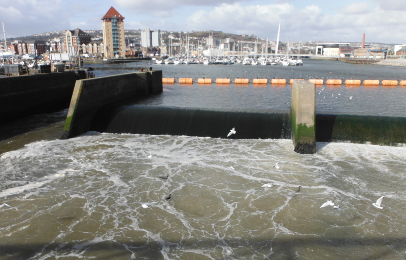  the cormorants at the barrage 