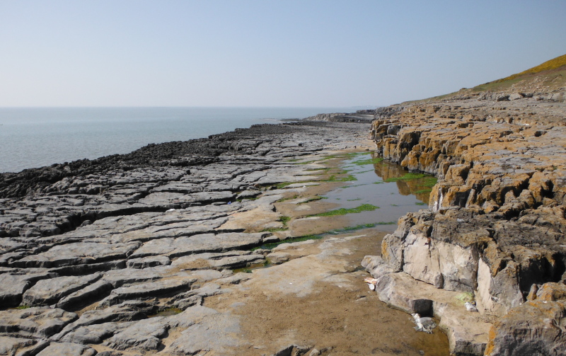  looking along the ledge 