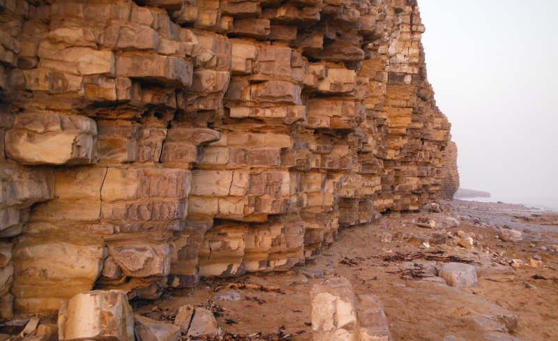  a typical section of the sandstone cliffs 