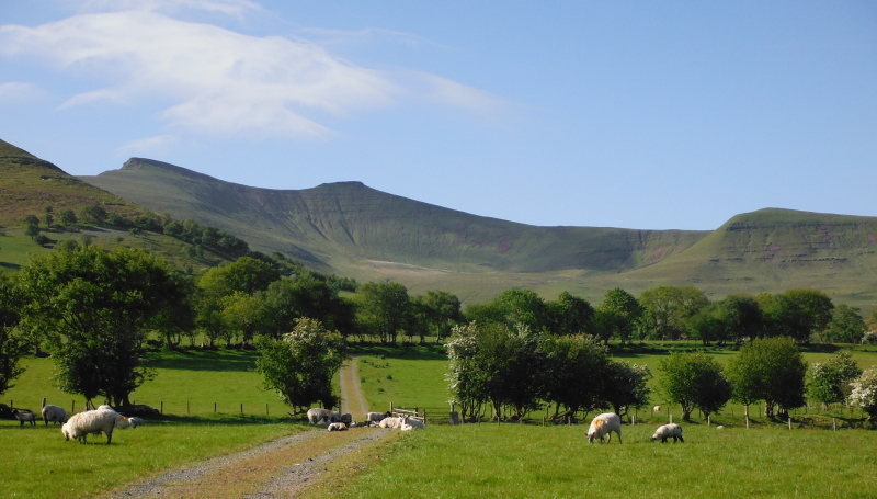  looking up at Pen y Fan and Corn Du 