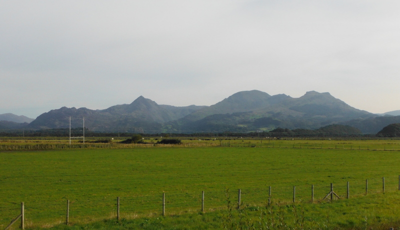  three of the Moelwynion 