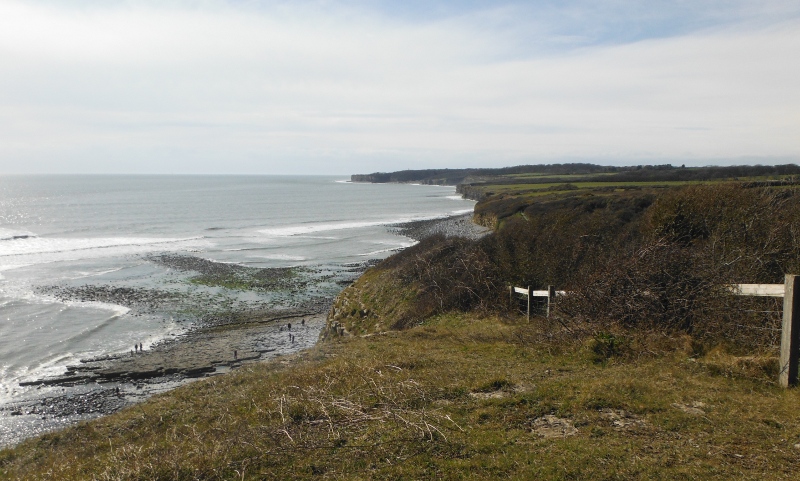  looking back along the cliffs 