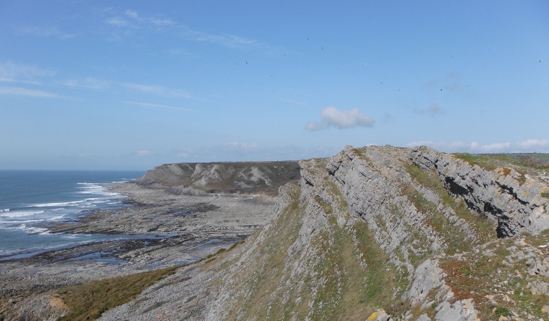  looking along the cliffs beyond Port Eynon Point