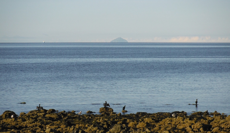  looking across to Ailsa Craig 