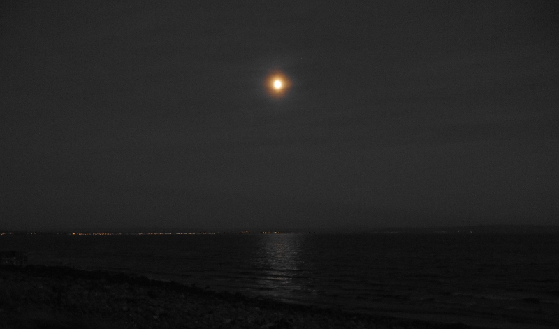  looking across the sea under moonlight 