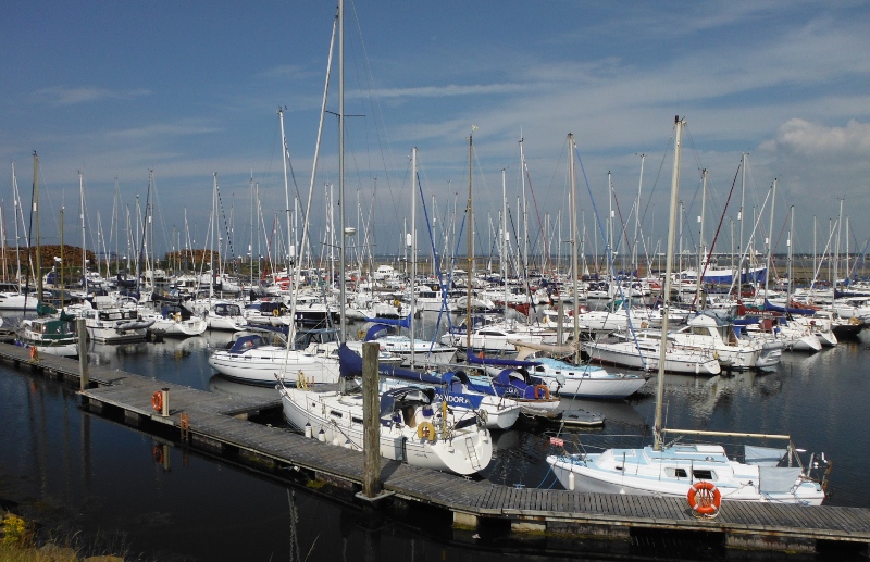  the marina - and lots of boats 