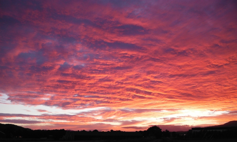  the bright red sunset 