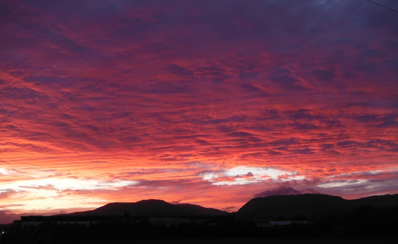  the bright red sunset 