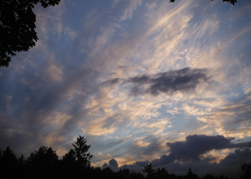  the clouds lit up 