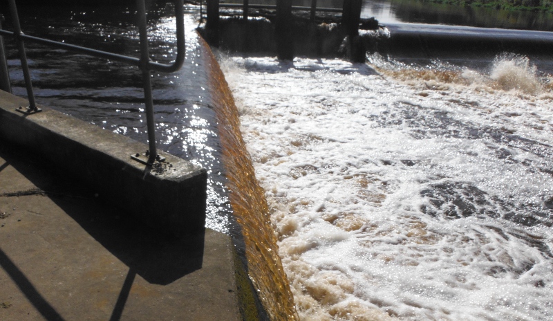  the side shoot of the weir 