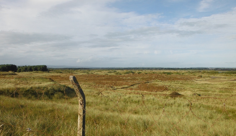  looking out over the dune hinterland 