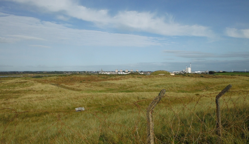  looking out over the dune hinterland 