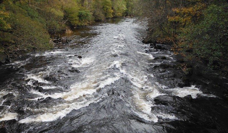  looking down on the top rapid from the bridge 