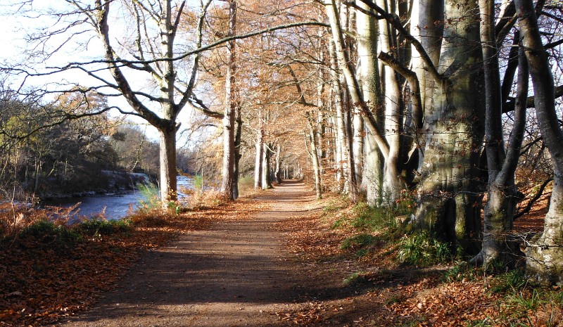  looking up the track 