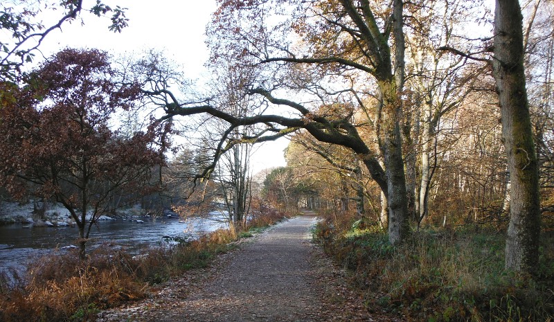  looking up the track 