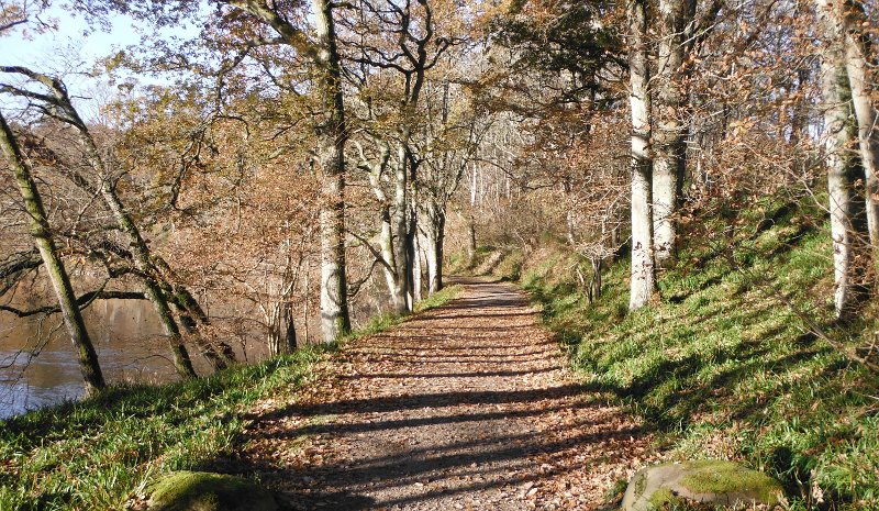  looking up the track 