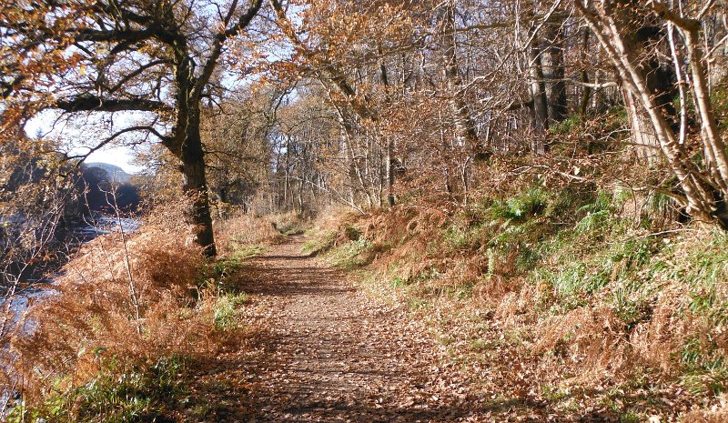  looking up the track 