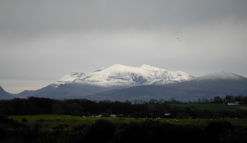  Snowdon 