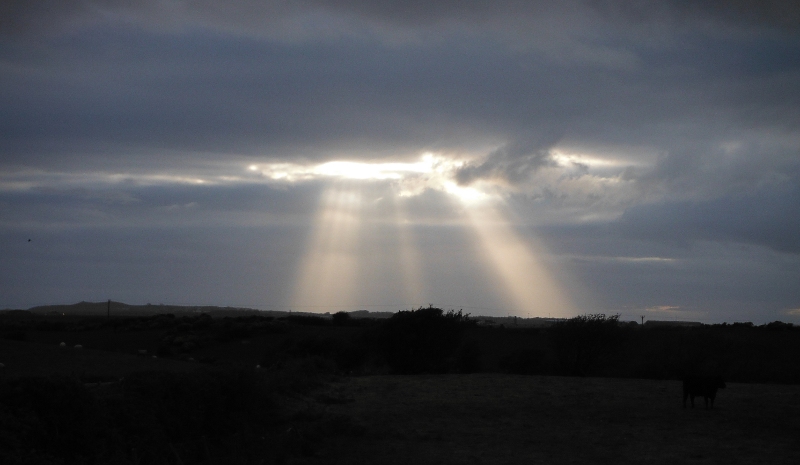  the shafts of light 