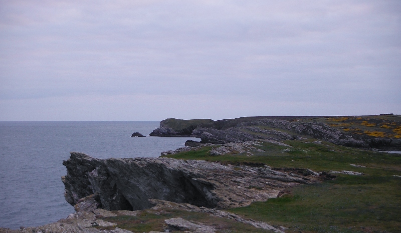  looking along the coast towards Dinas Stack 