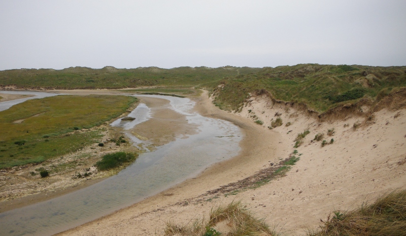  the coastal path through the dunes 