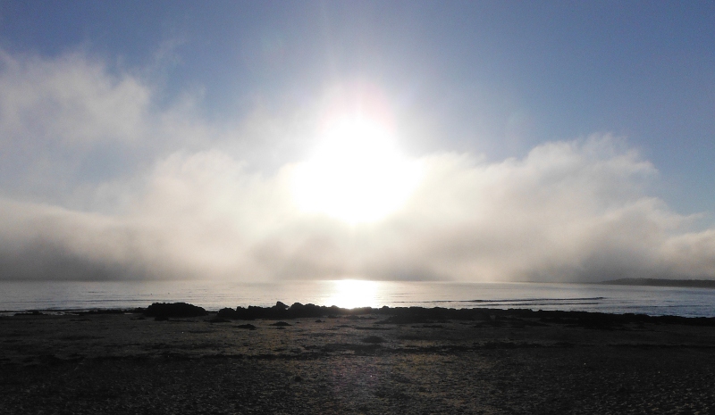  the fog backlit by the evening sun 