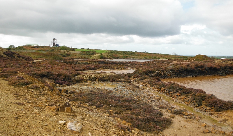  the precipitation ponds 