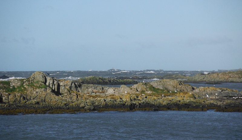  big waves on Ynysoedd Gwylanod 