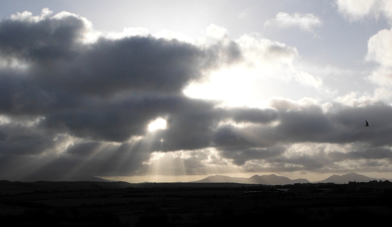  the shafts of sunlight 