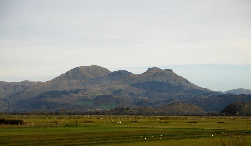  Moelwyn Mawr and Moelwyn Bach 