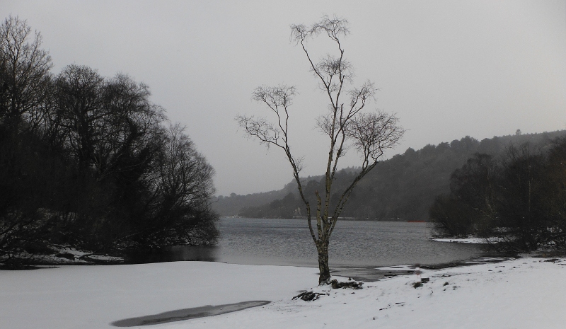  a very grey Llyn Padarn 