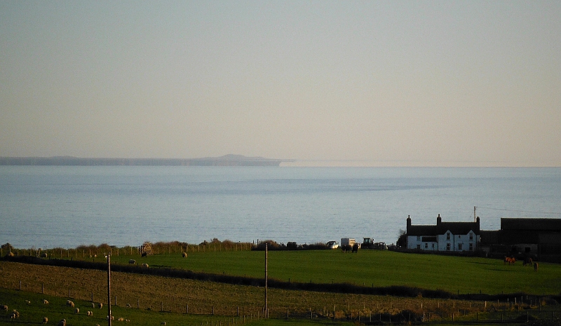  the bank of fog 