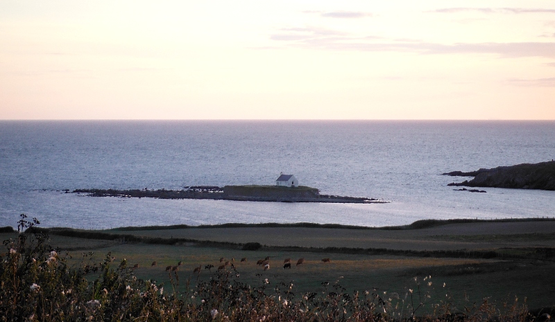  St Cwyfan`s Church 