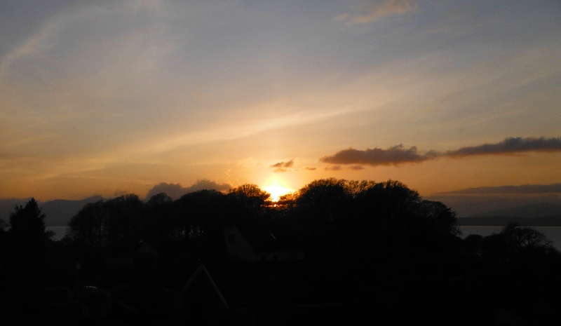  sunset through the trees 