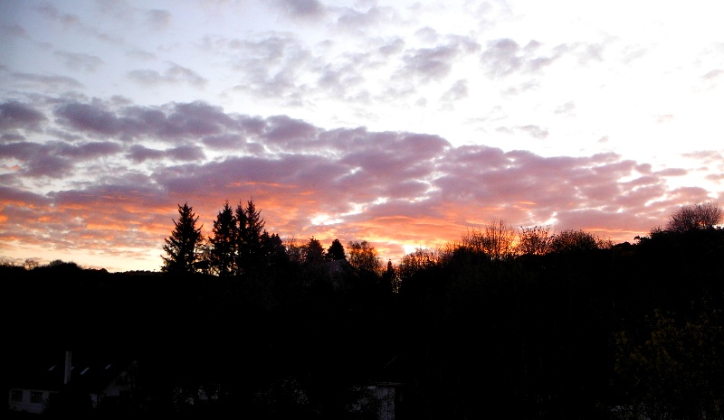  a sunrise through the trees 