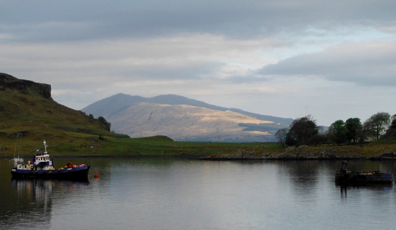  the patch of sunshine on the ridge 