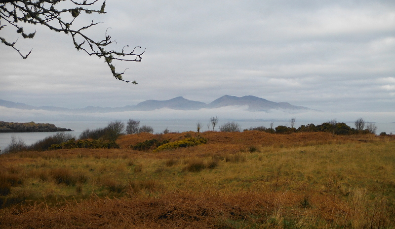  the bank of fog 